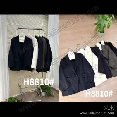 H8810#