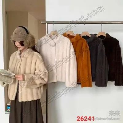 26241#