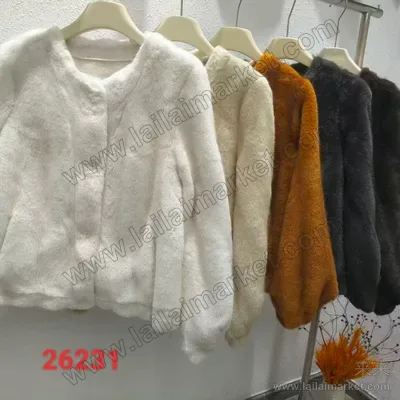 26231#