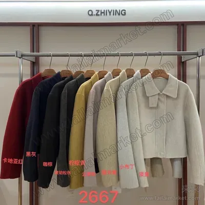 2667-2#
