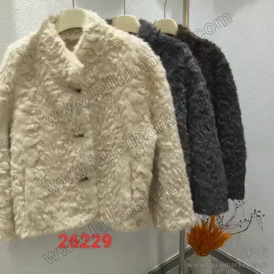 26229#