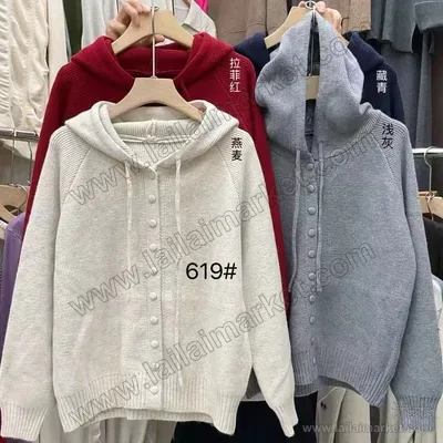 619-1#