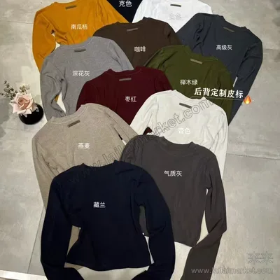 后背皮标短款长袖打底