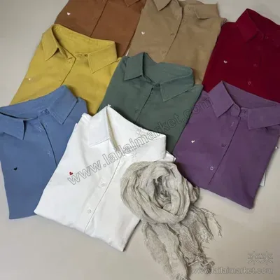 磨毛刺绣爱心衬衣